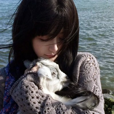 狐狸猎手